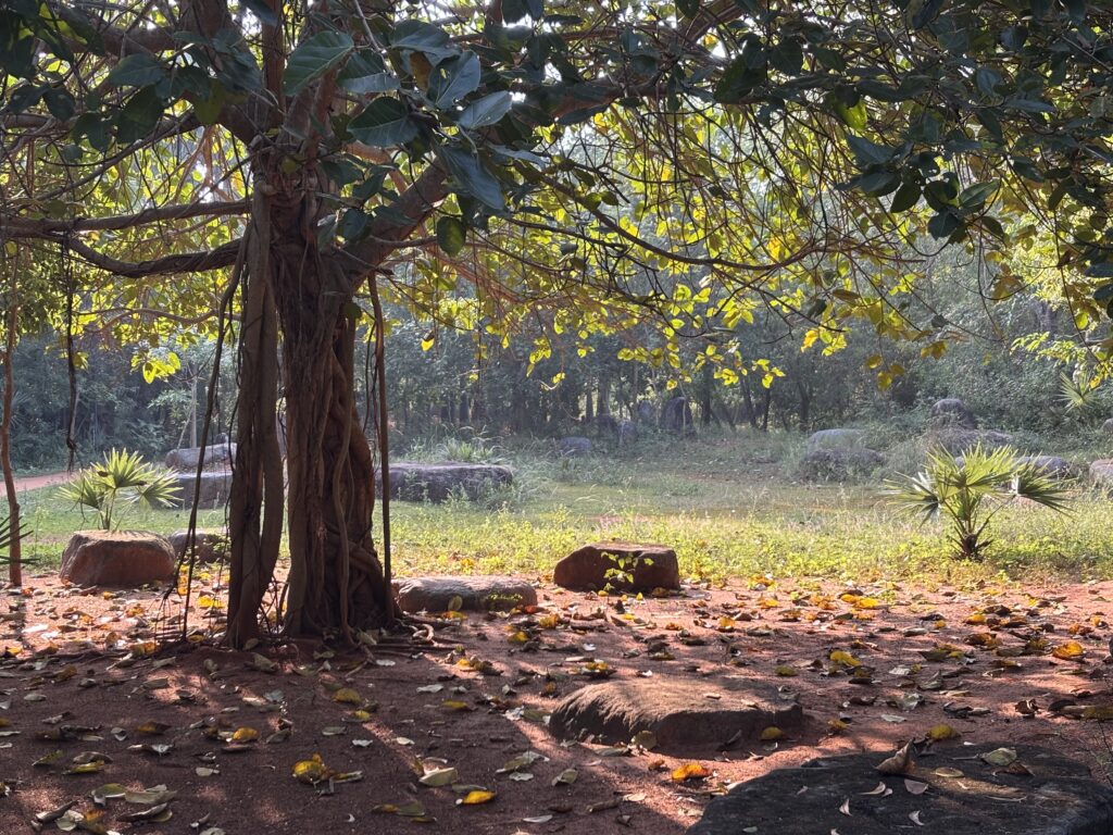 Mauna IMG 0281 1024x768