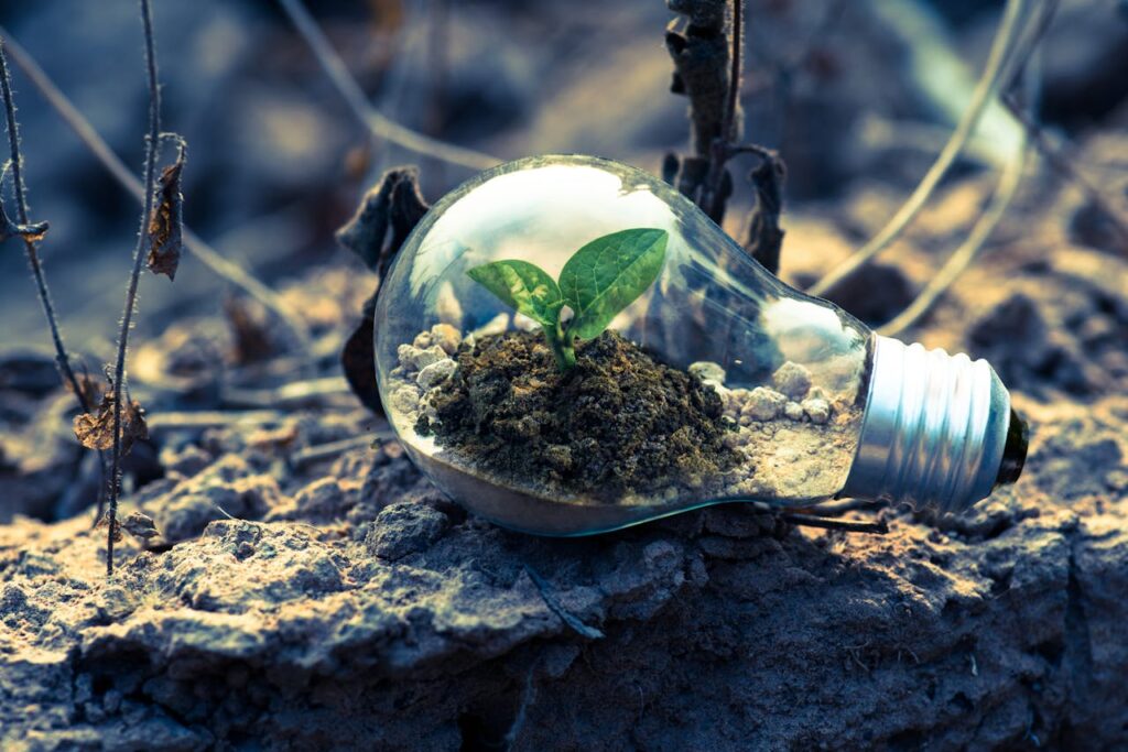 pexels photo 1108572 A small plant sprouts in soil inside a light bulb, symbolizing eco-friendly and sustainable growth.