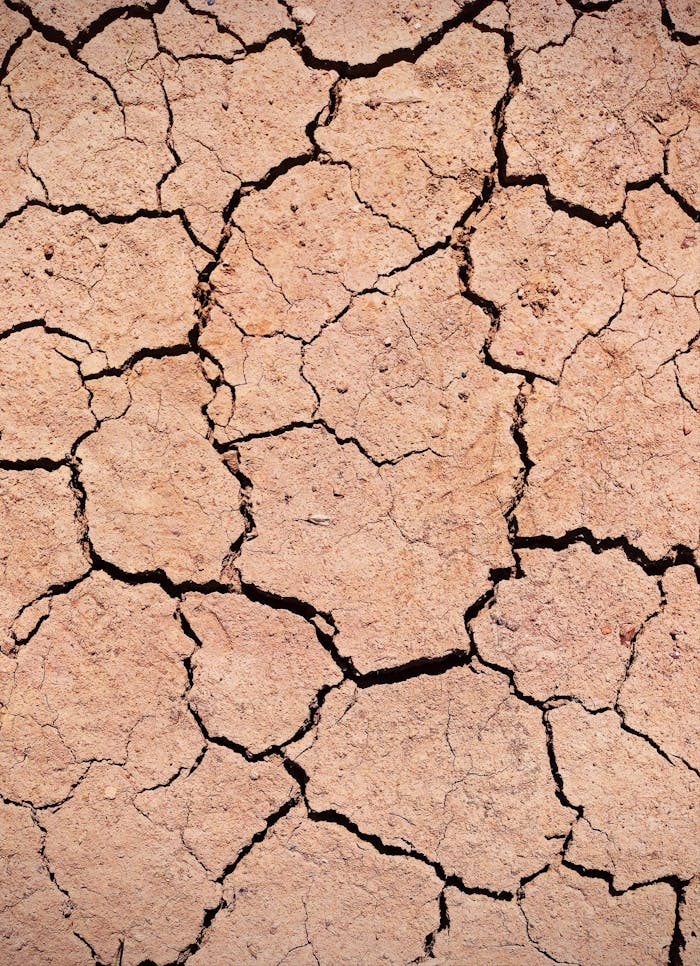 about-01 Close-up of dry, cracked earth showcasing patterns of drought and erosion.